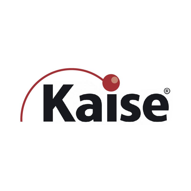 KBL121000 | KAISE - Batería Larga Duración para equipos UPS, 12V 100Ah