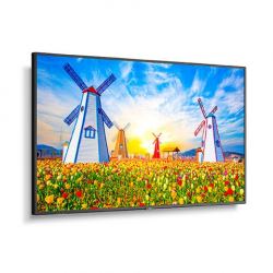 Monitores LCD NEC NEC M651 M651 | NEC Multisync M651 - 65 "LCD LCD Monitor de pantalla pública, 3840 x 2160 (UHD), 24/7, 500 CD