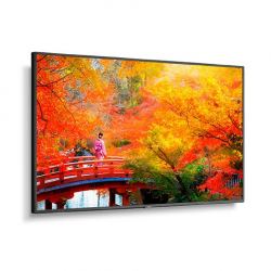 Monitores LCD NEC NEC MA491-MPi4E MA491-MPi4E | NEC Multisync MA491 - 49 "LCD LCD Monitor de pantalla pública, 3840 x 2160 (UHD)