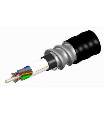 R-006-LZ-8W-F06BK/25D |...