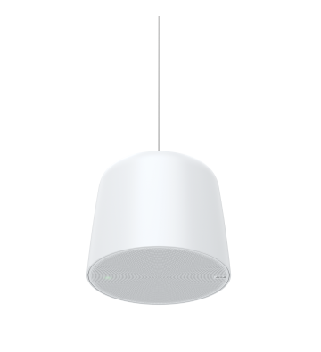 02390-001 C1511 De red altavoz colgante - AXIS