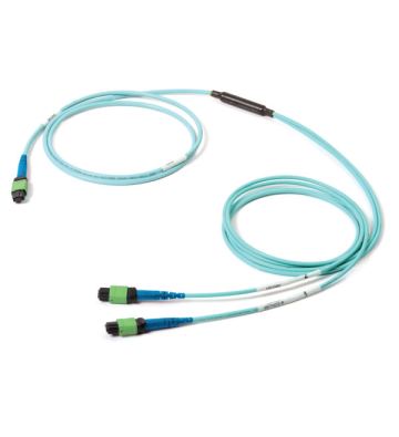 YJ8F4F035UL003M - SIEMON
