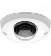 Domo AXIS AXIS P3904-R 01071-021 | AXIS P3904-R MK II M12 de mayoreo 10pza.