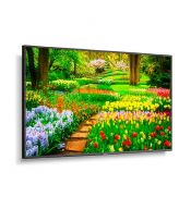 Monitores LCD NEC NEC M491-AVT3 M491-AVT3 | NEC Multisync M491 - 49 "LCD LCD Monitor de pantalla pública, 3840 x 2160 (UHD), 24/